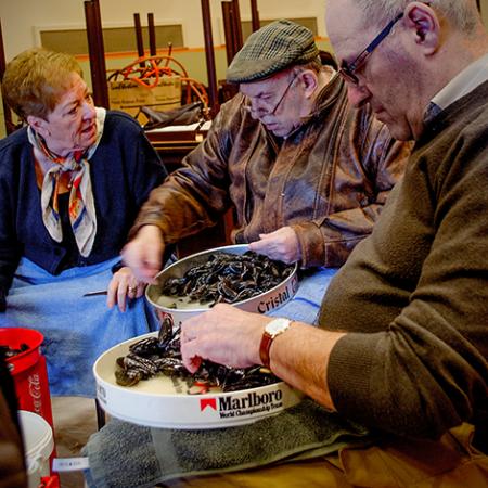 Bekijk in groter formaat